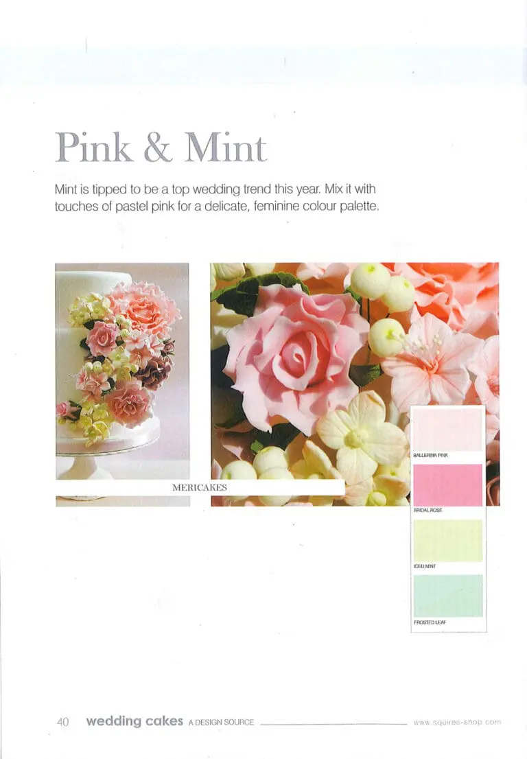 prensa revista wedding cakes no 52