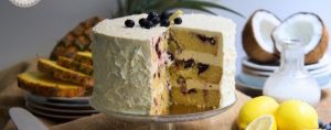pedidos-tarta-naked-cake-lemond-blueberry-coco-pinaple-mericakes-pastry-tarta-pastel-barcelona-reposteria-creativa-arandanos-12_fotor