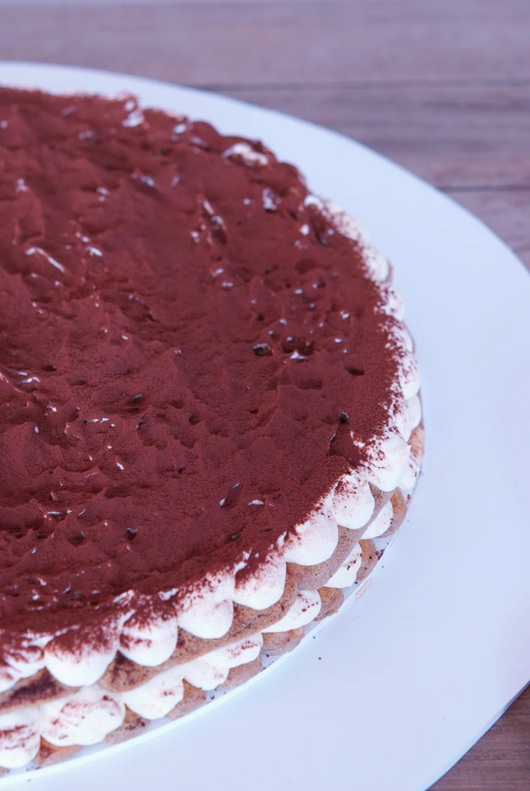 Giant Tiramisu wedding dessert