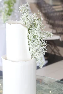 tarta de boda Gypsophila