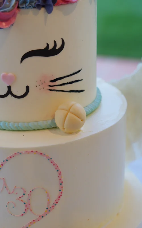 Kittycorn Cake