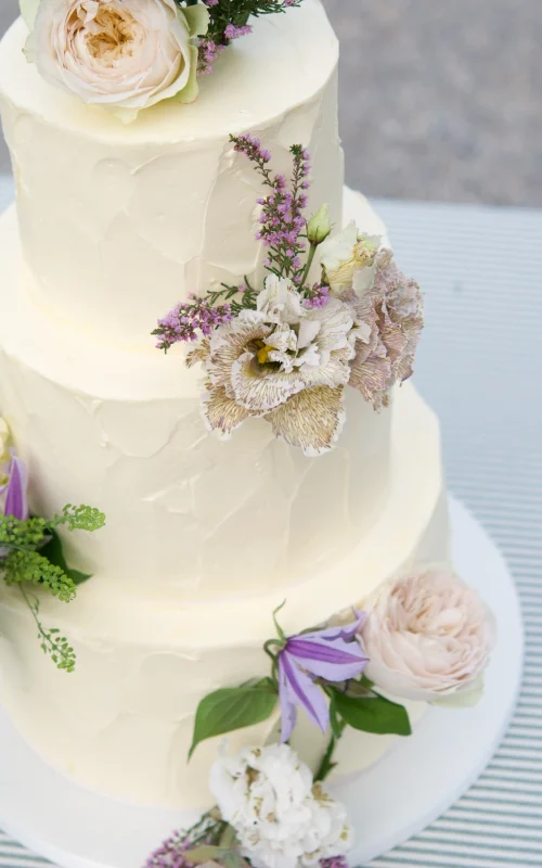 Tarta de Boda Silvestre y Orgánica