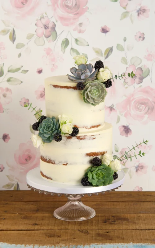 Succulent Baptism cake