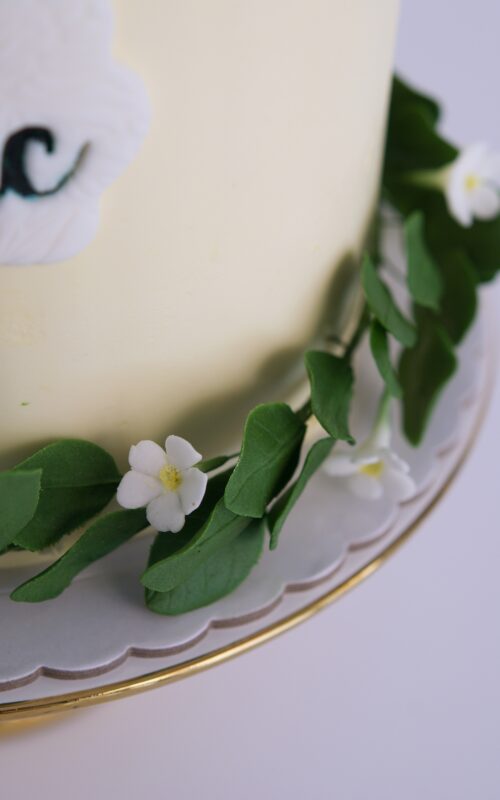 Tarta primer cumple, first birthday cake, baby cake, mericakes, brownie, sugar leaf, Pastel bebe.,4